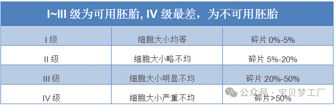 三分钟教你看懂试管婴儿胚胎等级!_美中桥