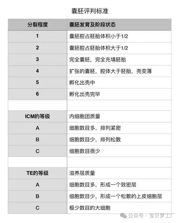 三分钟教你看懂试管婴儿胚胎等级!_美中桥
